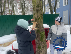 Орнитологический марафон продолжается.